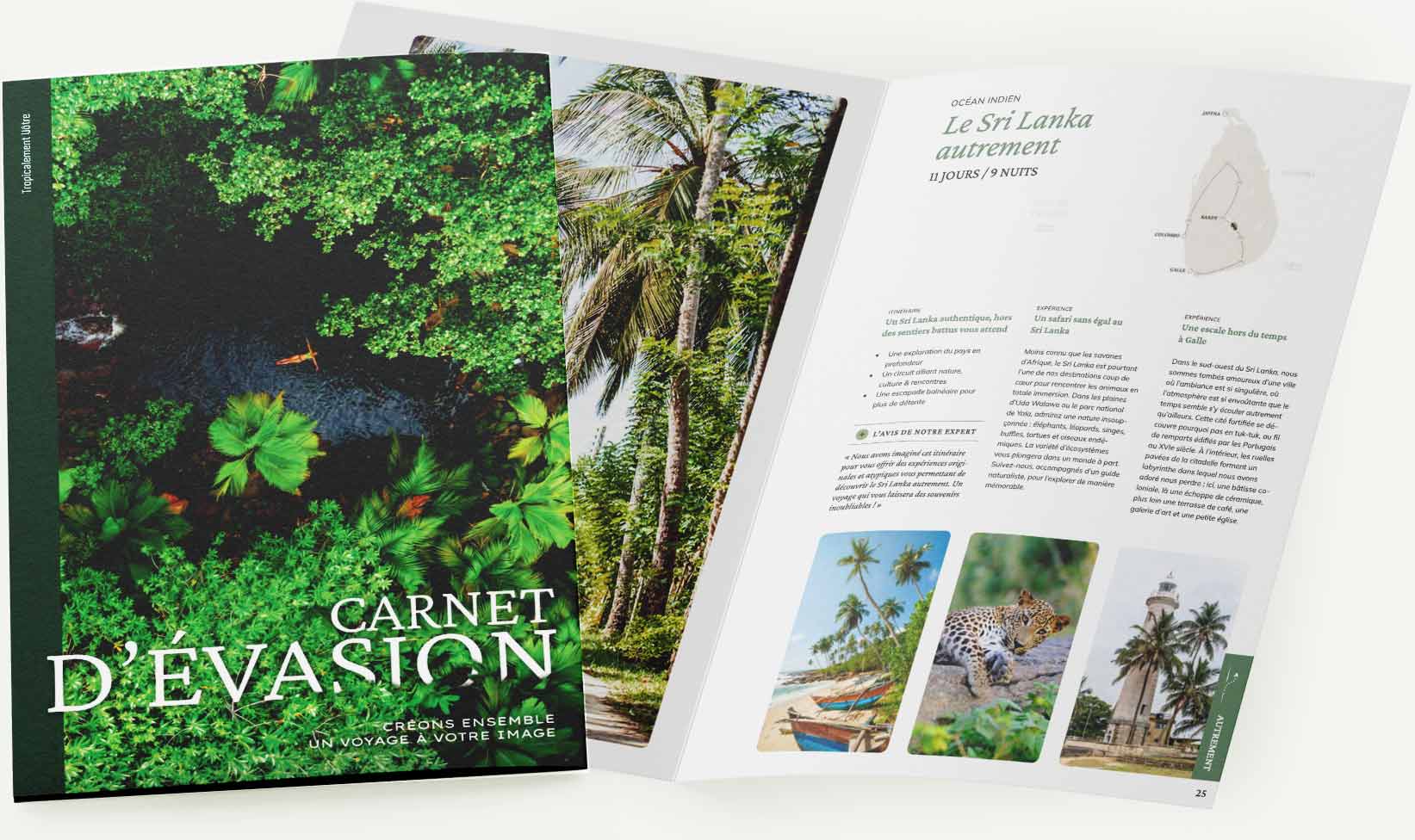 Identité de marque et brochure Tropicalement Vôtre – Antoine Masure graphiste