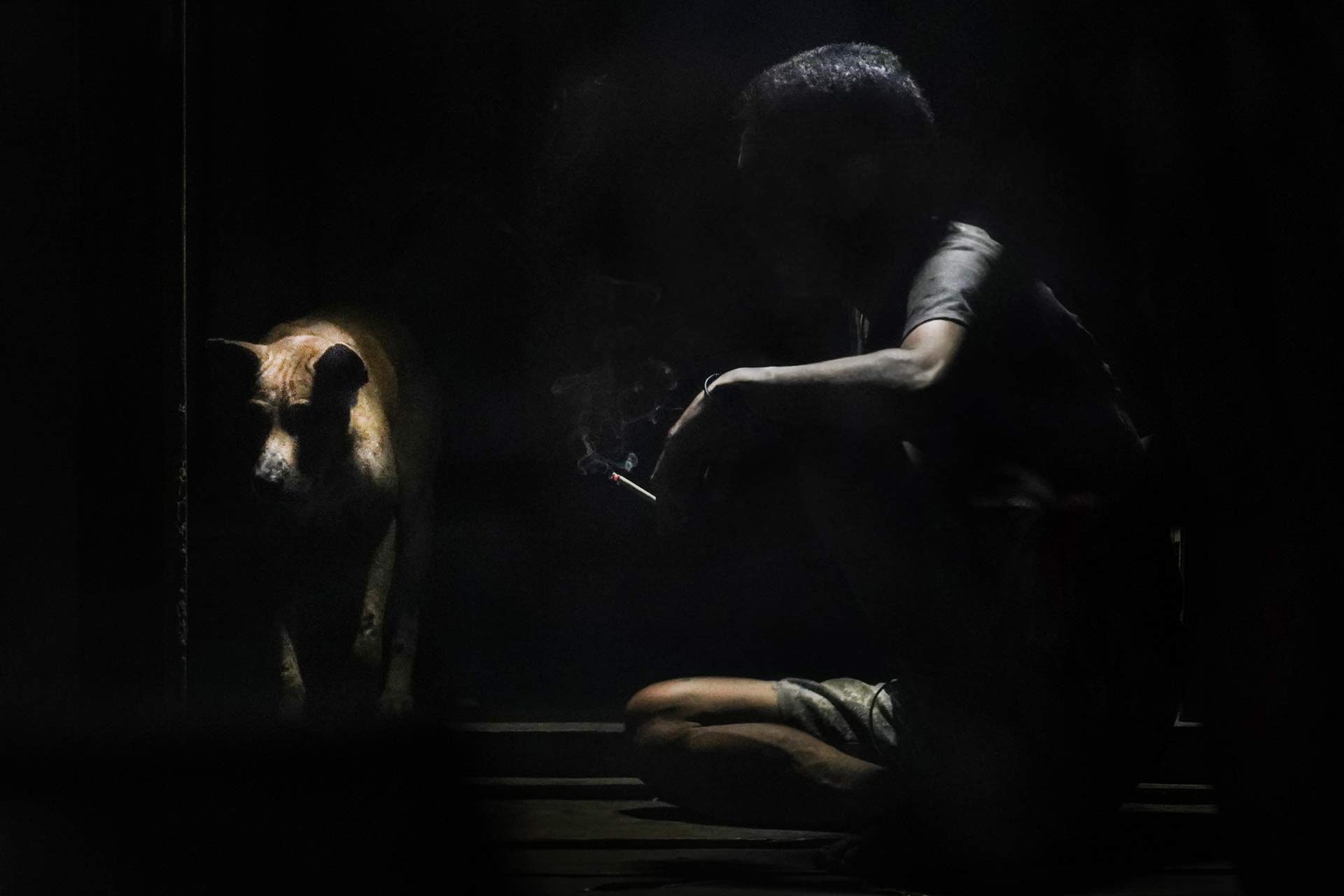 Homme avec chien en pénombre Mentawai Indonésie
