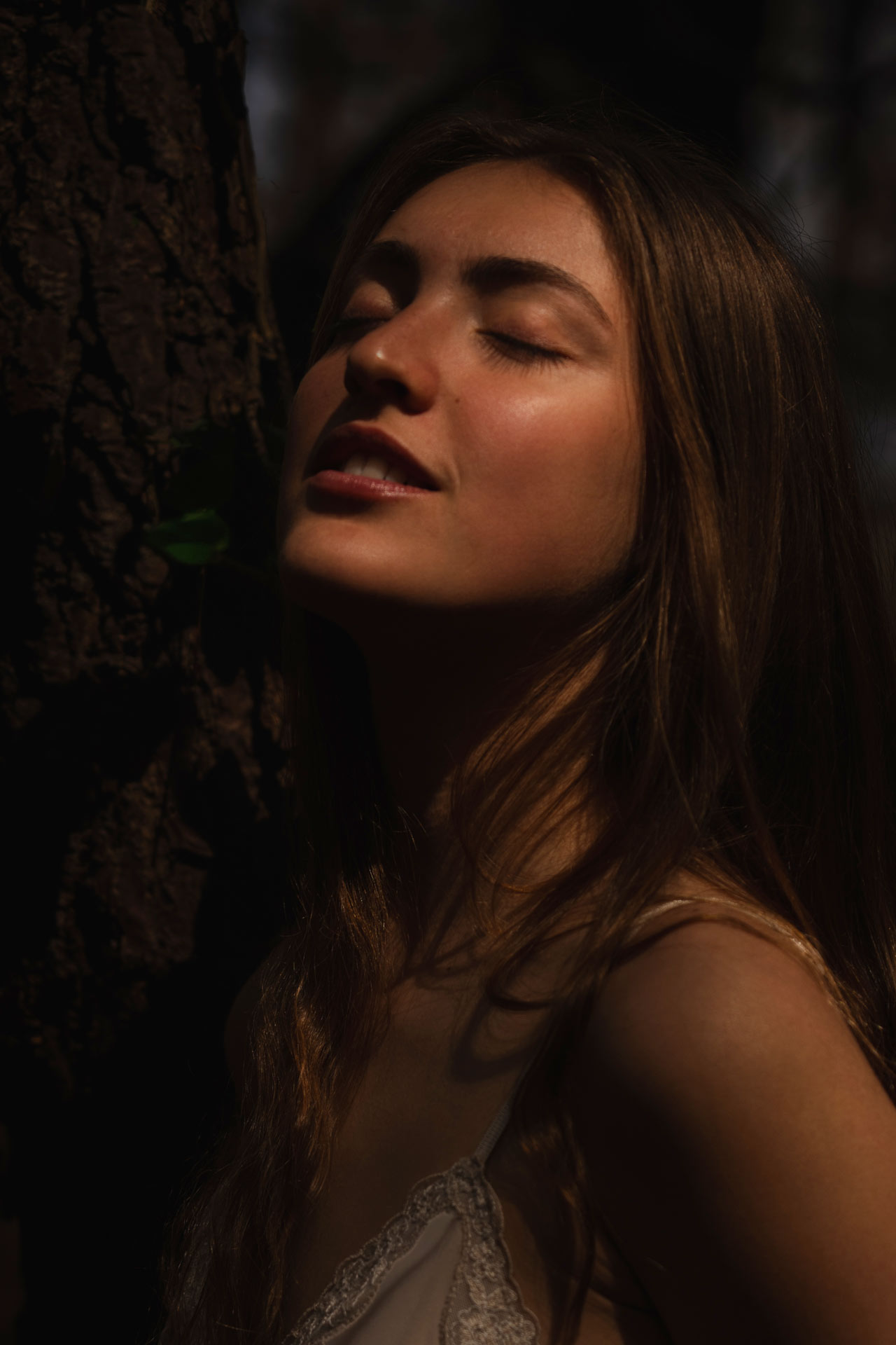 Portrait forestier