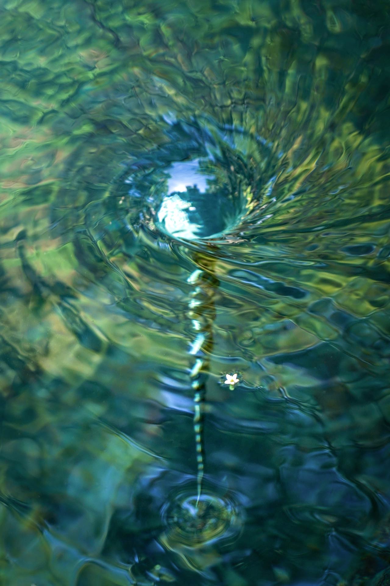 Tourbillon artistique Nouvelle Aquitaine – photo originale