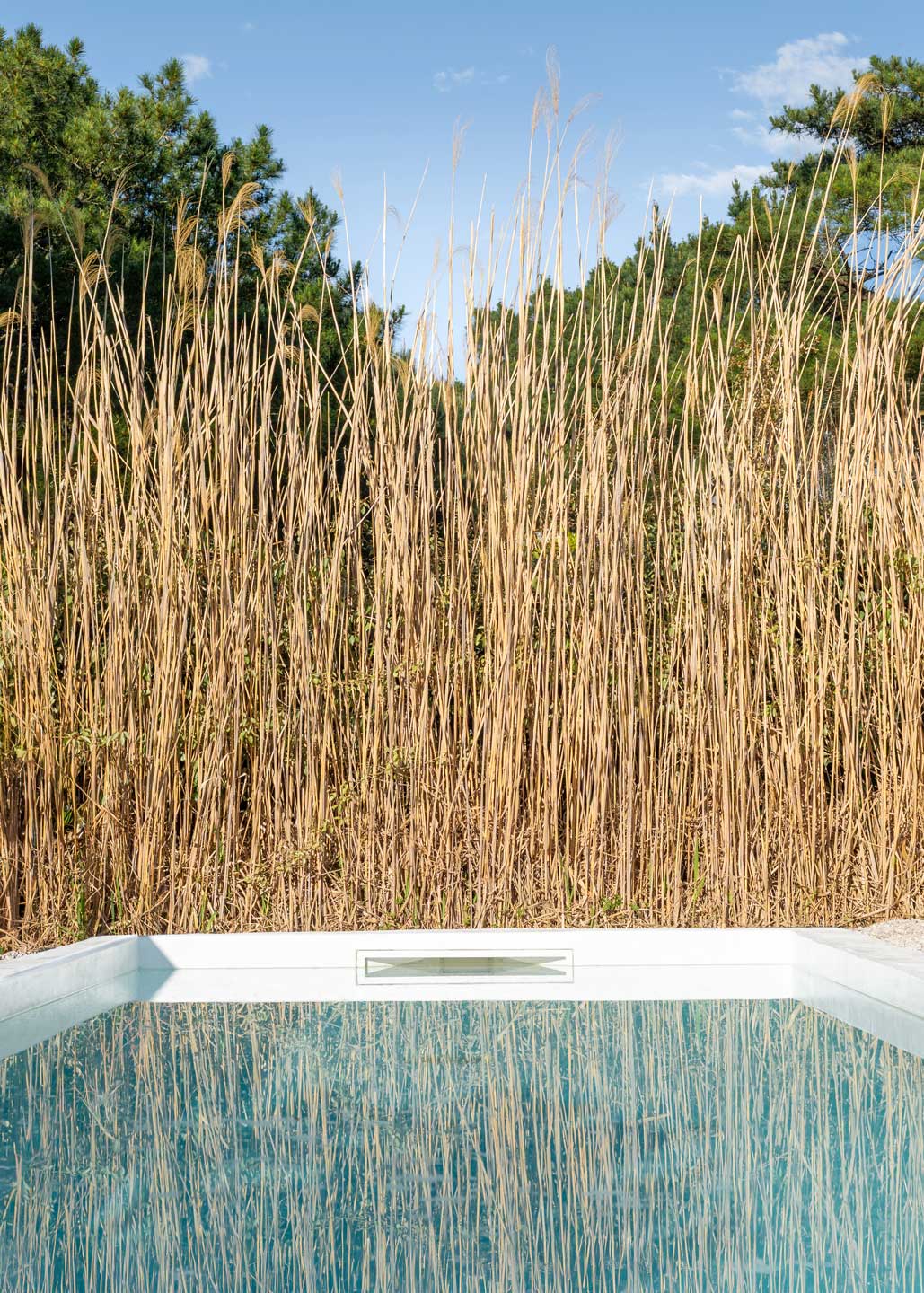 Piscine journée villa Pays Basque, photographe architecture
